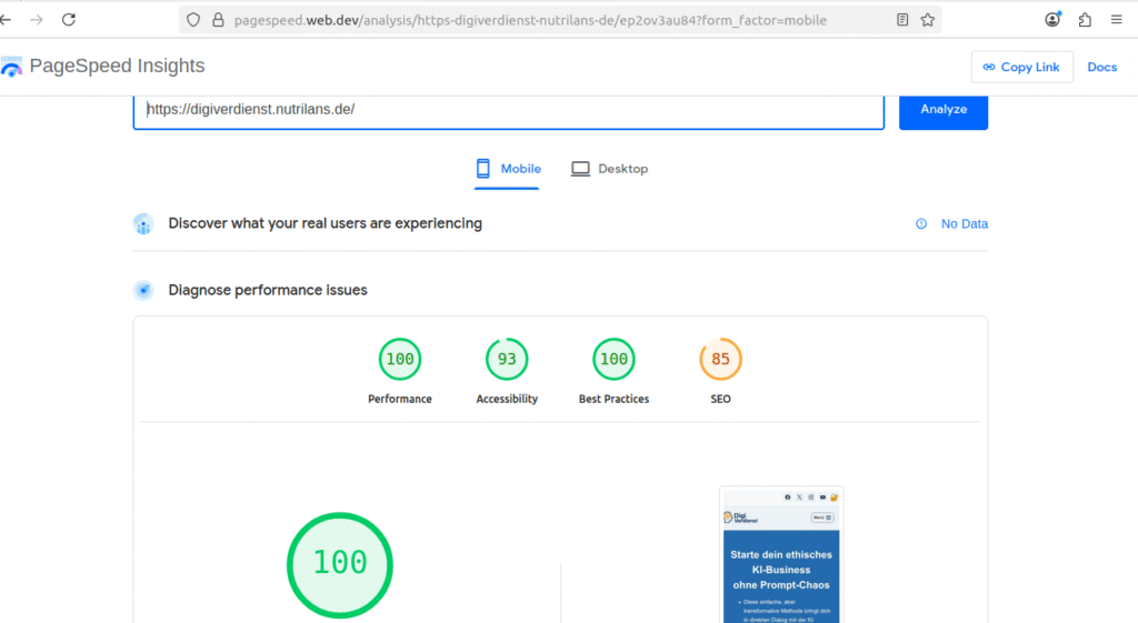 Brzina sajta Google Speed DigiVerdienst Balkan